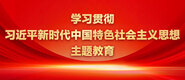 操欧美大姨影院学习贯彻习近平新时代中国特色社会主义思想主题教育_fororder_ad-371X160(2)